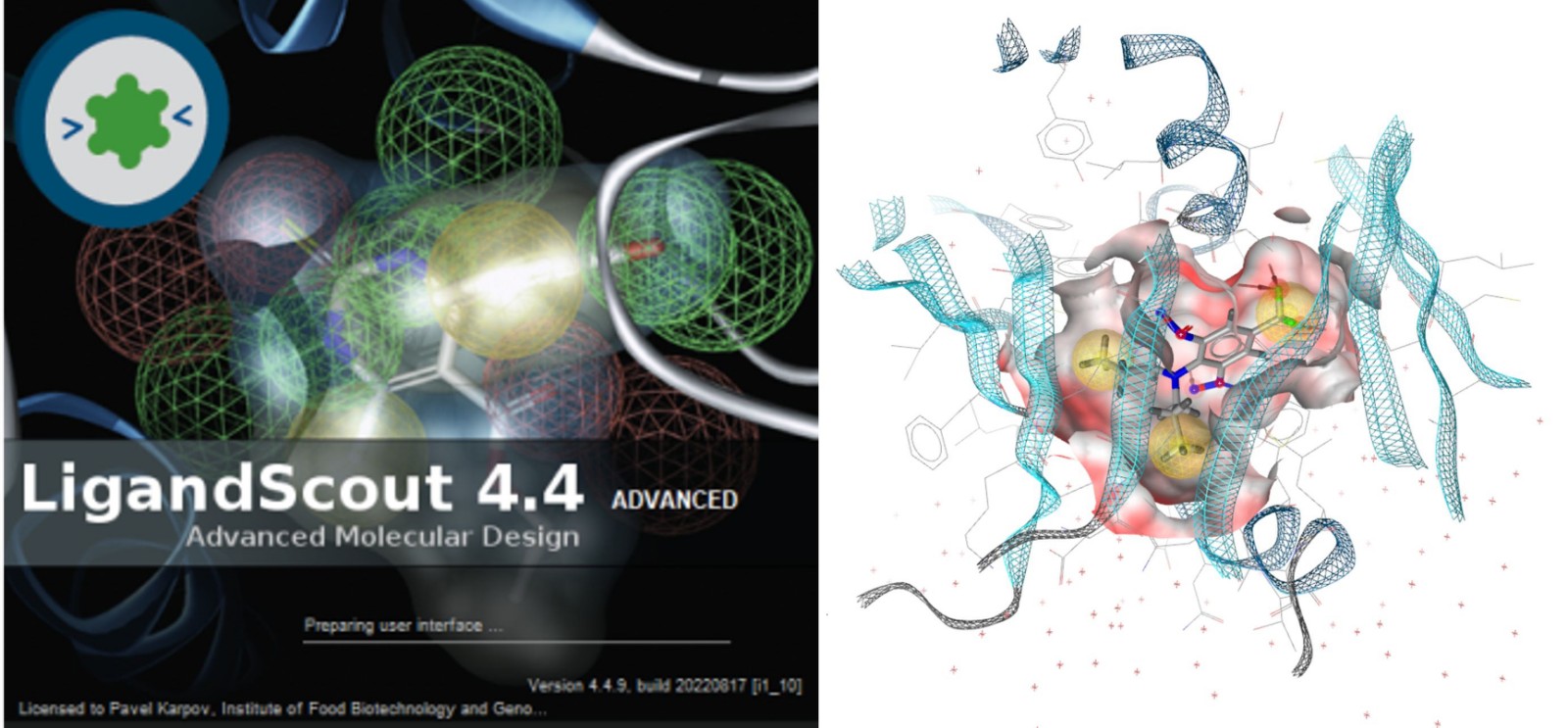 Inte:Ligand LigandScout